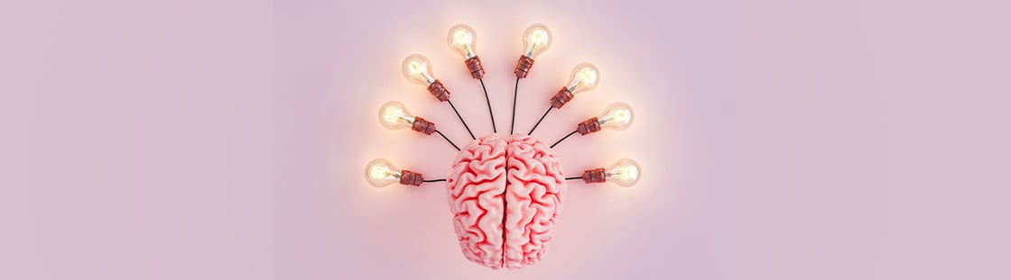 Brief_neuroaesthethic