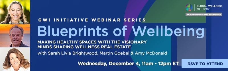 InitiativeWebinar2_gwshppromo_Dec2024-1